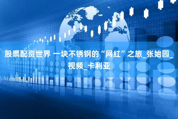 股票配资世界 一块不锈钢的“网红”之旅_张始园_视频_卡利亚
