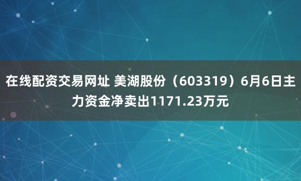 在线配资交易网址 美湖股份（603319）6月6日主力资金净卖出1171.23万元