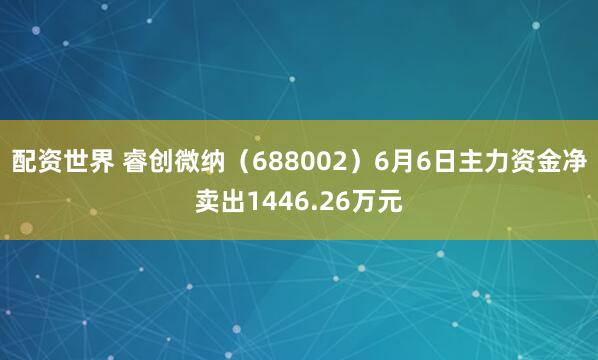 配资世界 睿创微纳（688002）6月6日主力资金净卖出1446.26万元