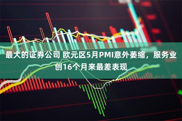 最大的证券公司 欧元区5月PMI意外萎缩，服务业创16个月来最差表现