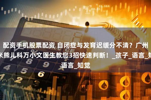 配资手机股票配资 自闭症与发育迟缓分不清？广州小米熊儿科万小文医生教您3招快速判断！_孩子_语言_知觉